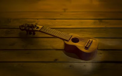 El legado vivo del charango ayacuchano